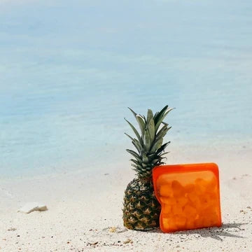 #GivingTuesday: Plastic-Free Seas & Fire Survivors